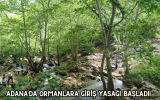 Adana’da Ormanlara Giriş Yasağı Başladı!