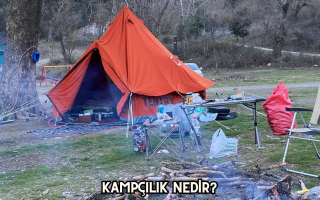 Kampçılık Nedir?